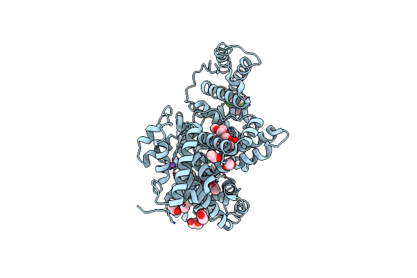 8BSG image