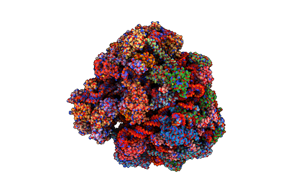 8BSI image