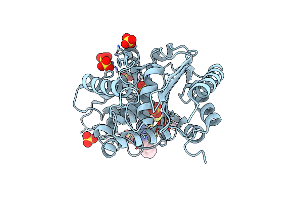 8BSK image