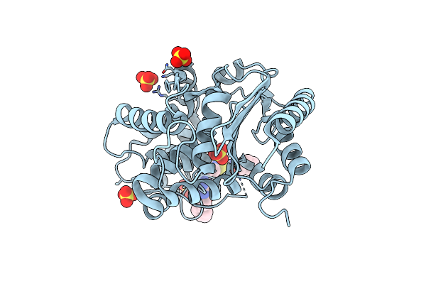 8BSM image