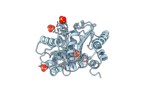 8BSN image