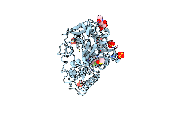 8BSP image