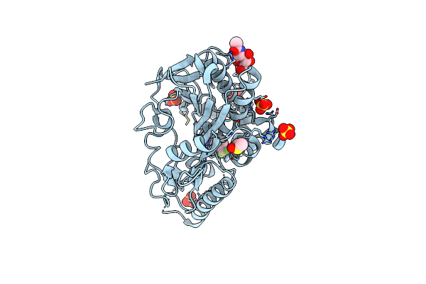 8BSQ image