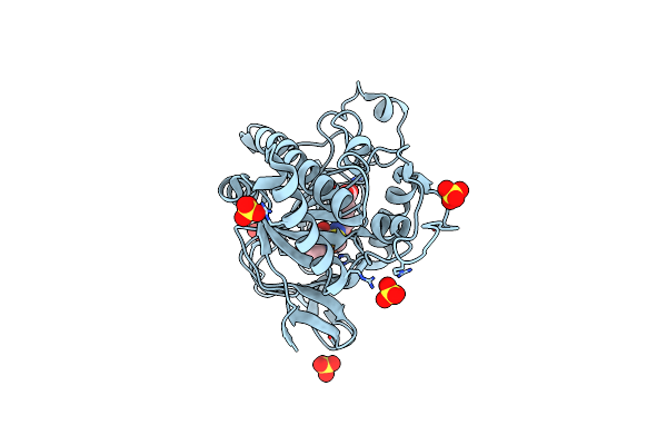 8BSV image