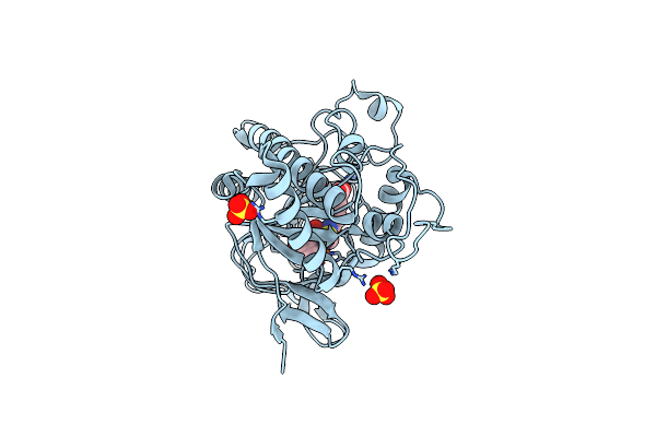 8BSX image