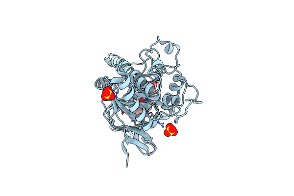 8BSY image