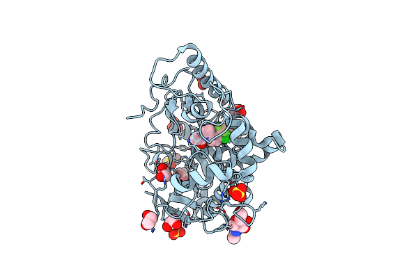 8BT2 image