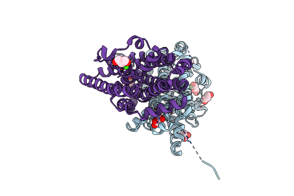 8BT4 image