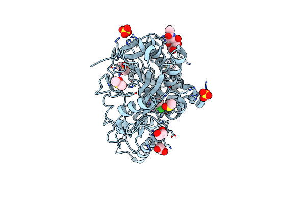 8BTA image