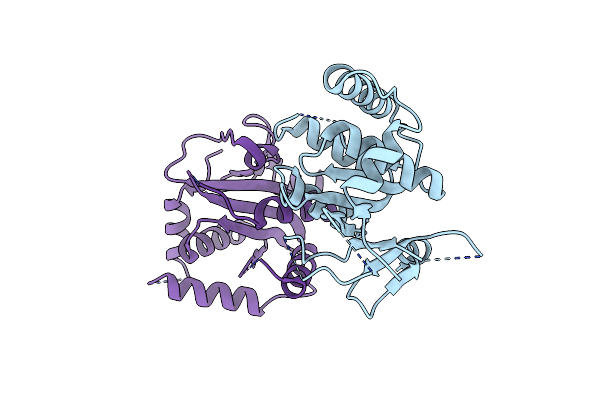 8BTN image