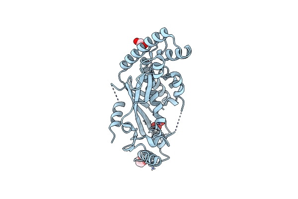8BUX image