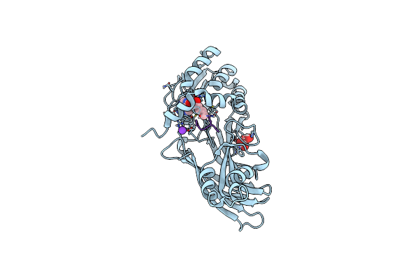 8BVA image