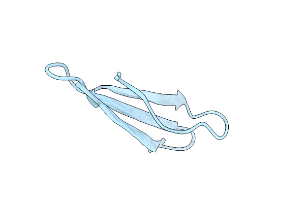 8BVC image