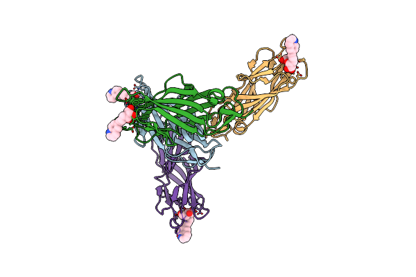 8BVD image