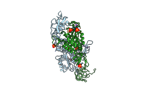 8BVF image