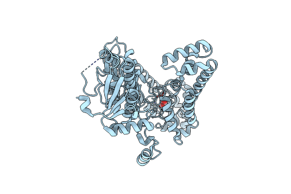 8BVP image