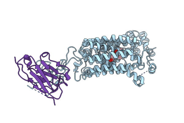 8BVT image