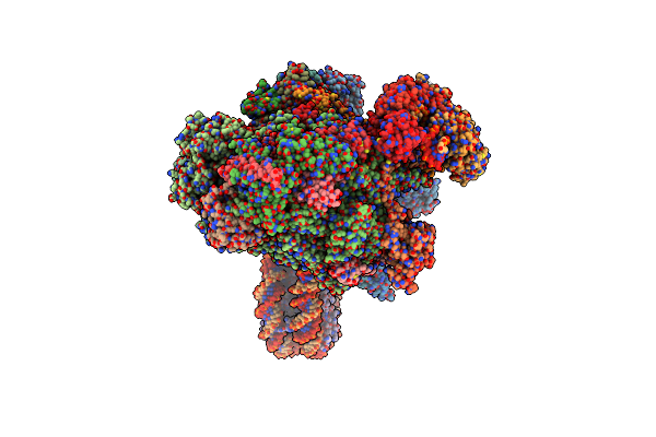 8BVW image