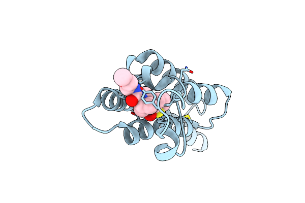 8BW2 image