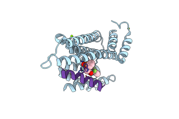 8BWH image