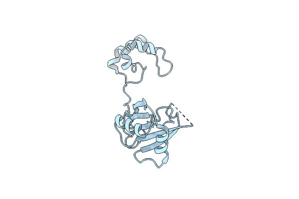 8BWI image