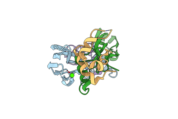 8BWM image