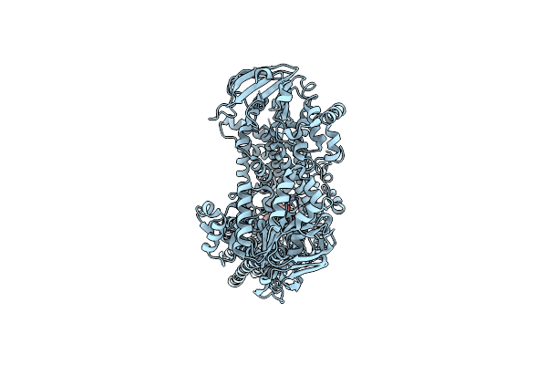 8BWR image