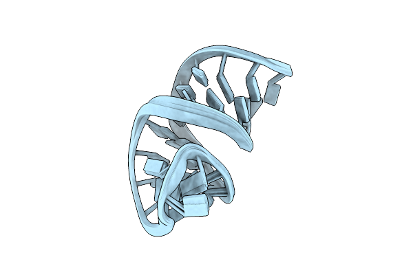 8BWT image