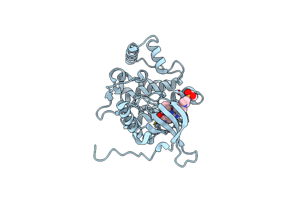 8BX6 image