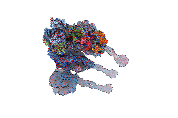 8BX8 image