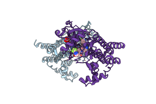 8BXC image