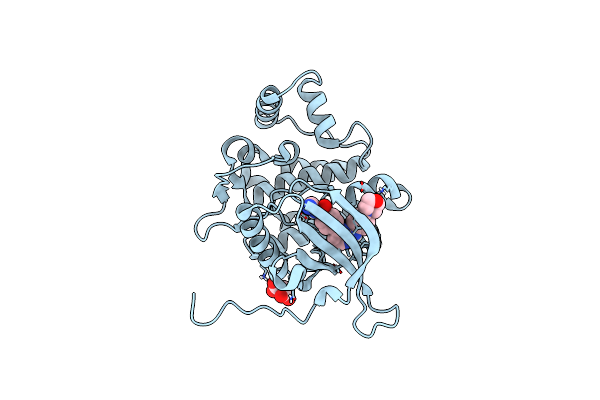 8BXH image