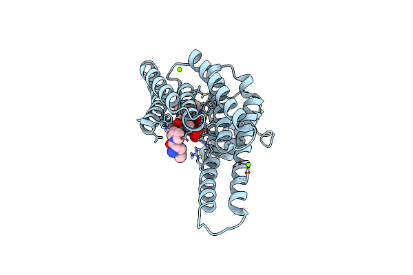 8BXI image