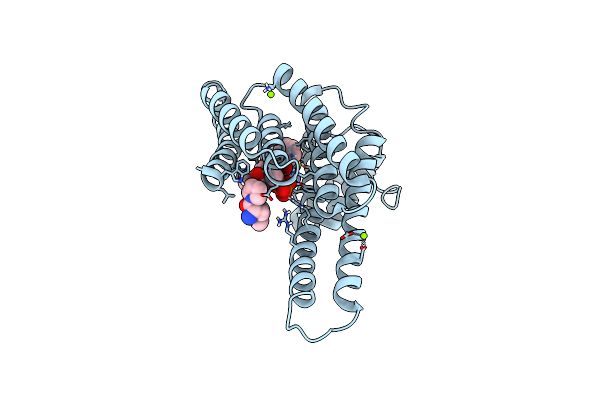8BXM image