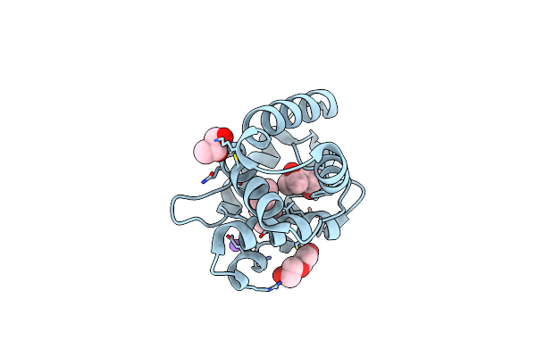 8BXV image