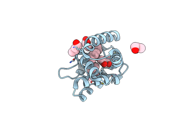 8BXW image