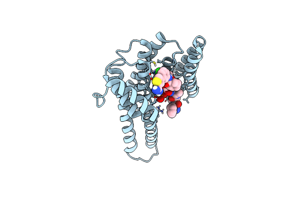 8BYB image