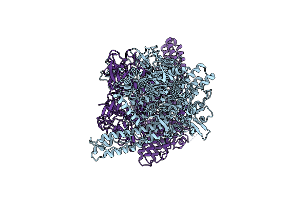 8BYP image