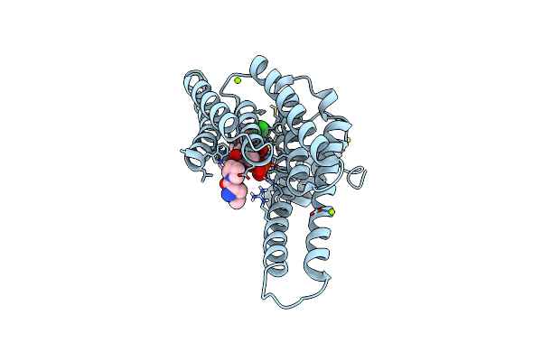 8BZB image
