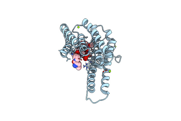 8BZE image