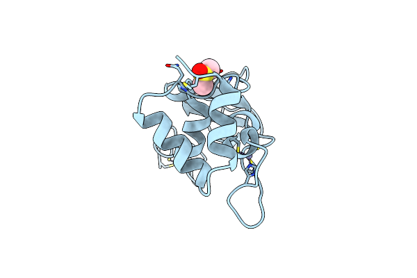 8BZN image