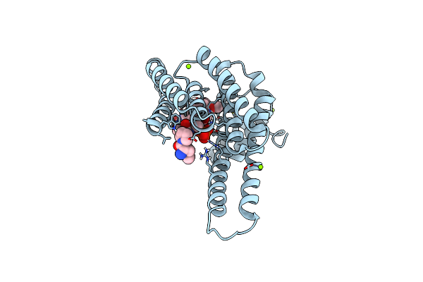 8BZT image