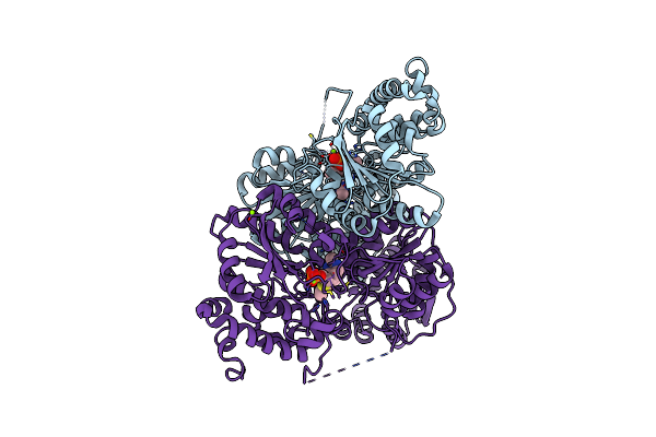 8BZX image