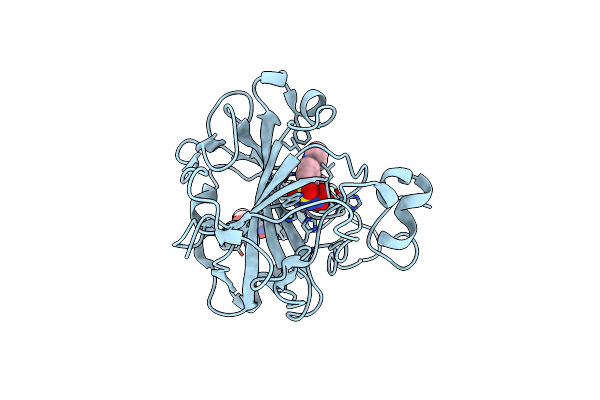8BZZ image