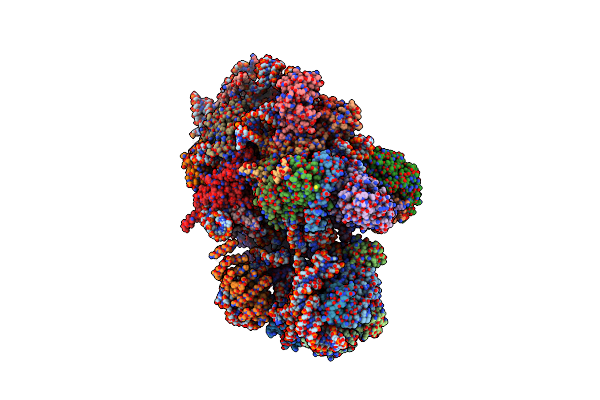 8C01 image