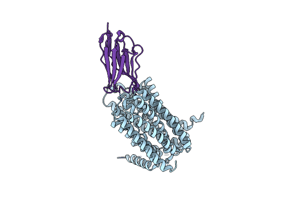 8C02 image