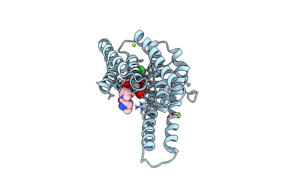 8C04 image