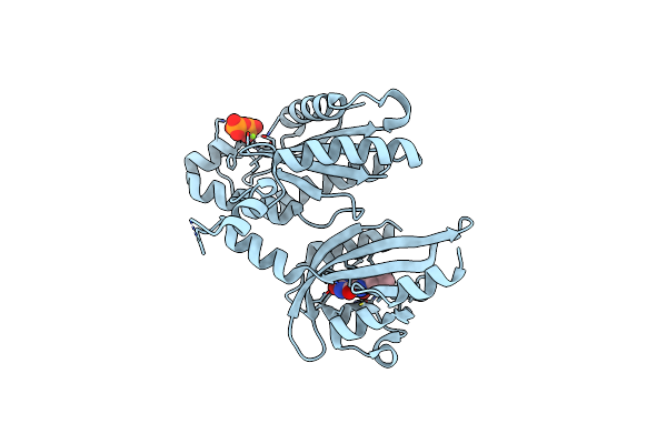 8C05 image