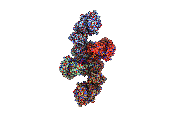 8C06 image