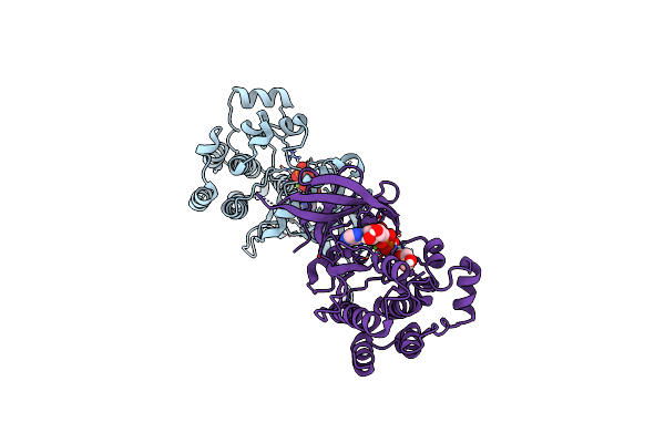 8C08 image